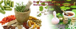 Body Massage Parlours in Mahipalpur